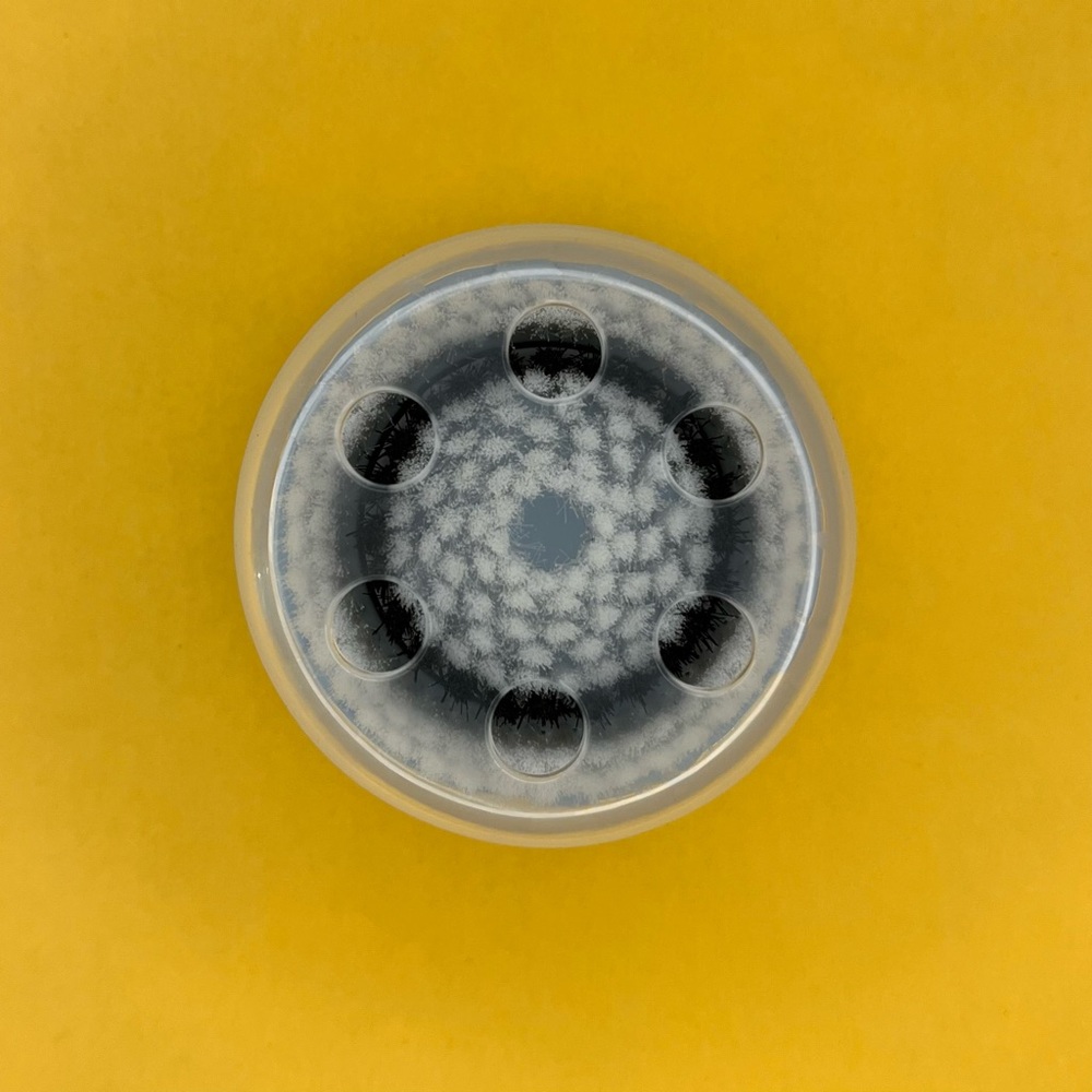 Clarisonic Delicate Cleansing Facial Brush Head Replacement